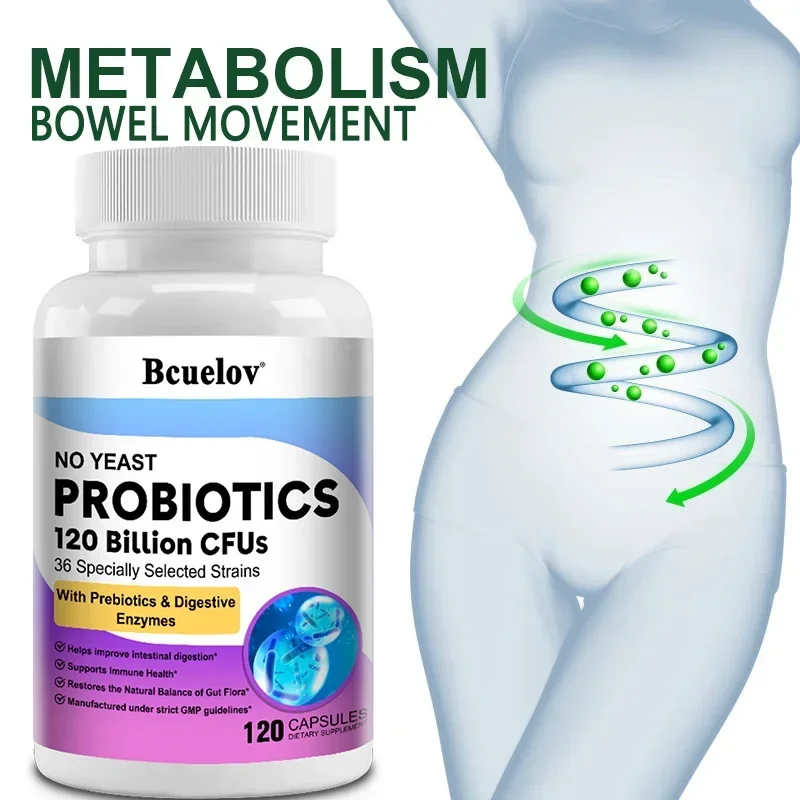 Digestive Health Probiotics 12 - Probiotic 60 Billion avis et prix